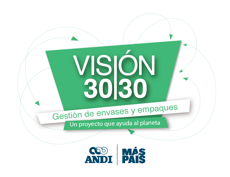 vision 3030